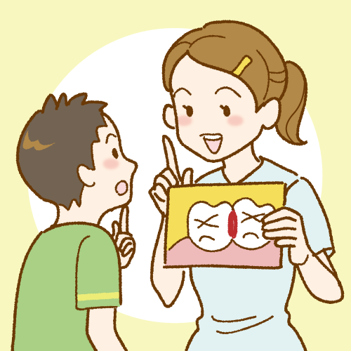 虫歯になりやすい場所の説明|相模原駅ビル歯科
