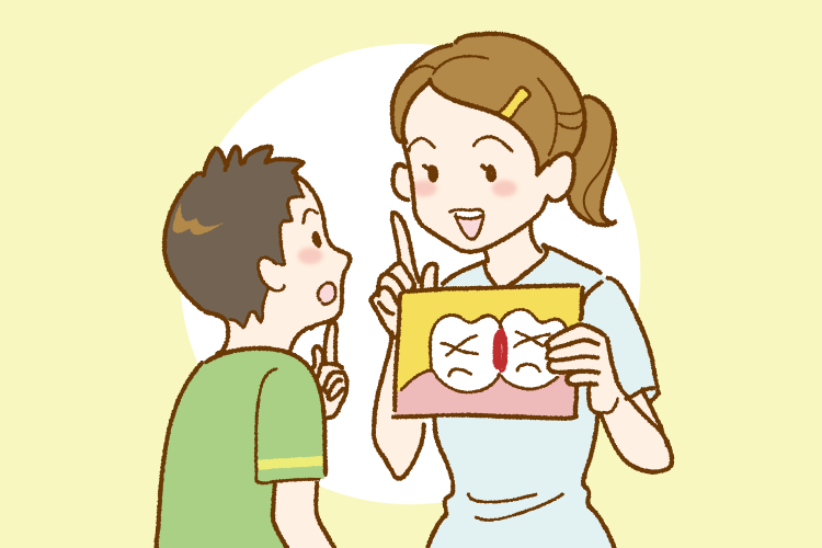虫歯になりやすい場所の説明|相模原駅ビル歯科