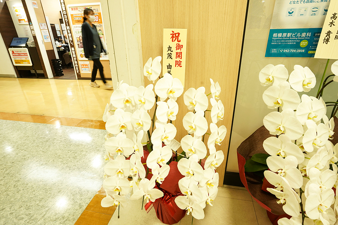 内覧会開催のお祝いのお花｜相模原駅ビル歯科
