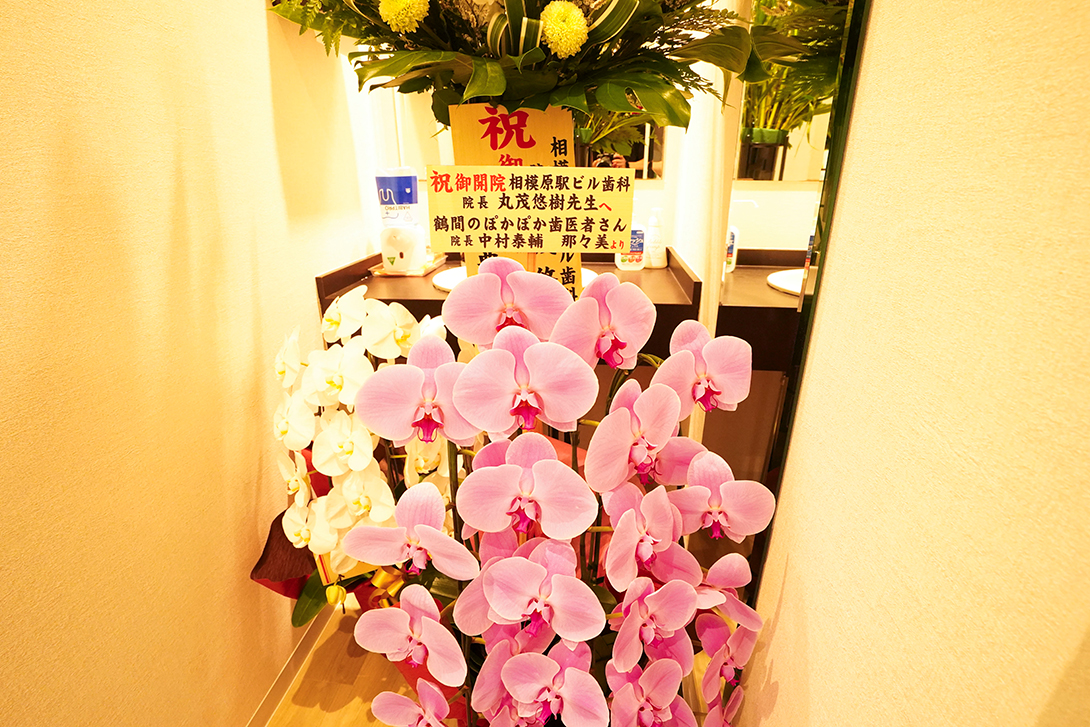 内覧会開催のお祝いのお花｜相模原駅ビル歯科