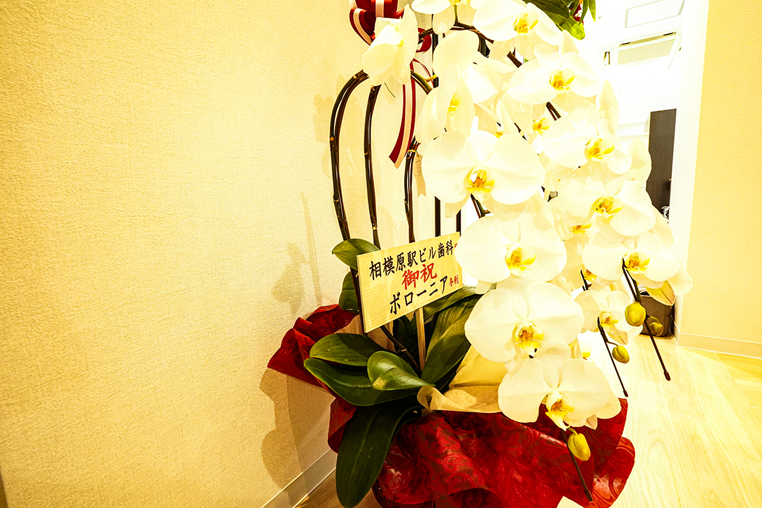 内覧会開催のお祝いのお花｜相模原駅ビル歯科