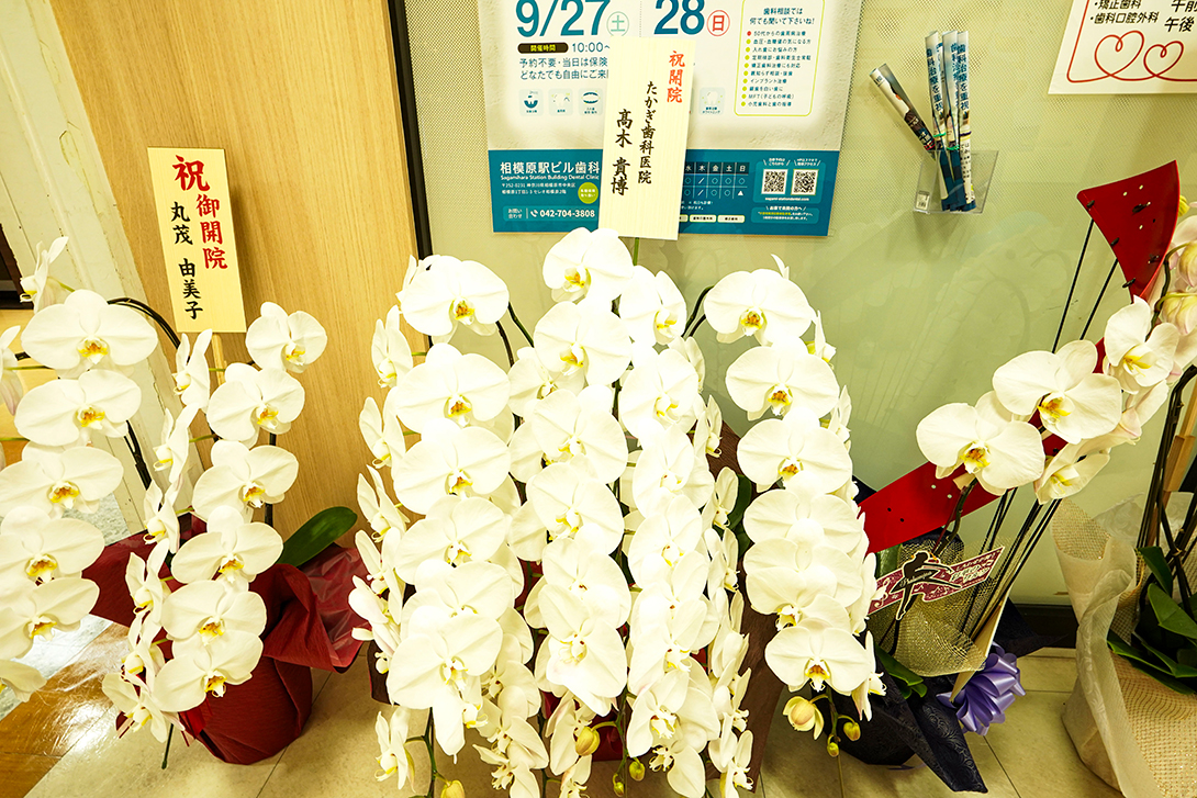 内覧会開催のお祝いのお花|相模原駅ビル歯科