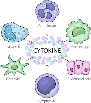 生活習慣病を歯科で予防｜相模原駅ビル歯科